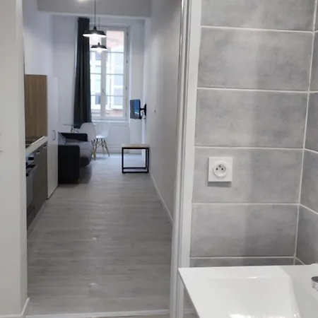 Saint Etienne Studio Lot 7 Appartement *
